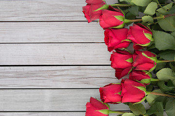 Image showing close up of red roses on white background