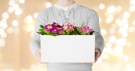 Image showing close up of man holding box with garden flowers