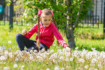 Image showing A girl of ten years collects dandelions in the park