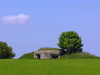 Image showing Bunker hill