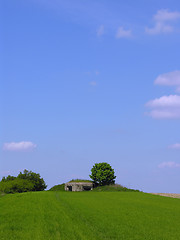 Image showing Bunker hill