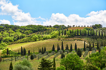 Image showing Tuscany landscape, Toscana, Italy