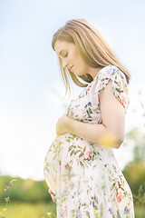 Image showing Beautiful pregnant woman in white summer dress in meadow full of yellow blooming flovers.