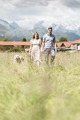 Image showing Young happy pregnant couple holding hands walking it\'s Golden retriever dog outdoors in meadow.