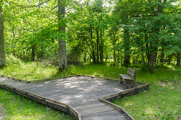 Image showing Bench by a wooden footpath with a wooden platform in a nature re