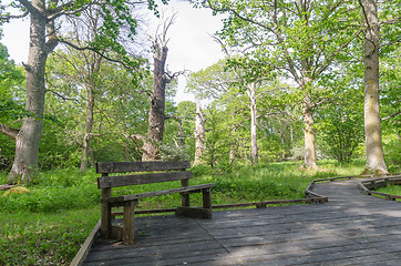 Image showing Bench by a wooden footpath in a nature reserve with old oak tree