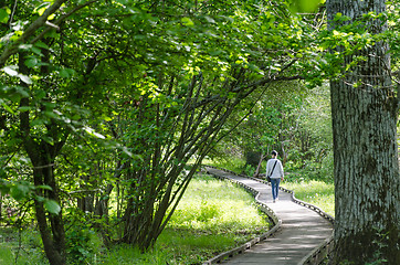 Image showing Winding wooden footpath with a walking woman in a nature reserve