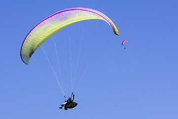 Image showing Paragliding in the blue sky as background extreme sport