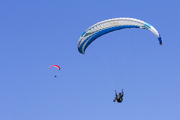 Image showing Paragliding in the blue sky as background extreme sport