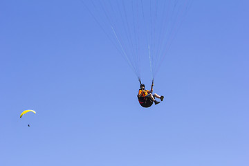 Image showing Paragliding in the blue sky as background extreme sport