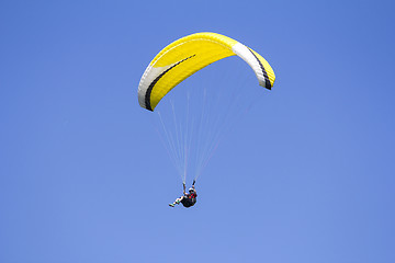 Image showing Paragliding in the blue sky as background extreme sport