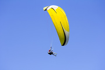 Image showing Paragliding in the blue sky as background extreme sport