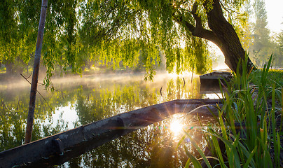 Image showing Marshes of Bourges in the mist