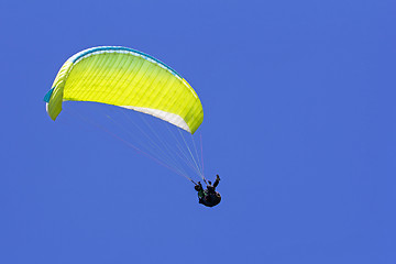 Image showing Paragliding in the blue sky as background extreme sport