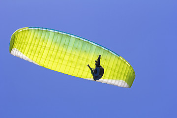 Image showing Paragliding in the blue sky as background extreme sport