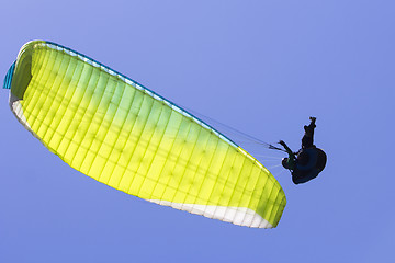 Image showing Paragliding in the blue sky as background extreme sport