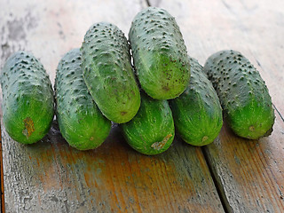 Image showing Fresh Green Cucumbers on the Old Wooden Table