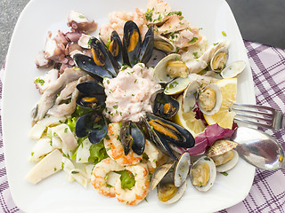 Image showing Seafood shells mussels as a cold appetizer