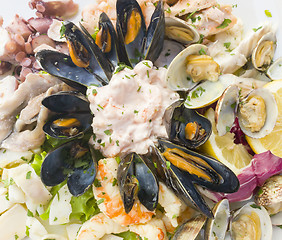 Image showing Seafood shells mussels as a cold appetizer