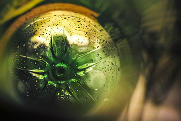 Image showing Inside a green plastic bottle for recycle 