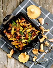 Image showing Roasted Chanterelles Ragout 