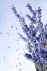 Image showing Bunch of Lavender Flowers