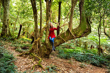 Image showing Playing in nature\'s garden - woman sitting in large tree with hanging vines