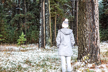 Image showing Woman winter wanderings in the pine forest dusted with snow