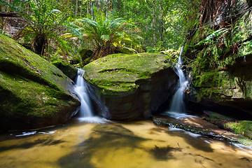 Image showing Lush green foliage and twin waterfalls in nature