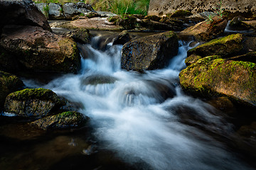 Image showing Mountain stream in Snowy Mountains