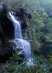 Image showing Beautiful bushland waterfall in Blue Mountains