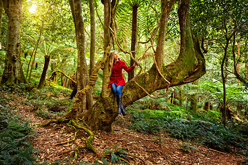 Image showing Woman relaxing in a tree among nature\'s rainforest garden