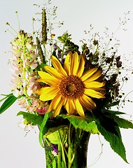 Image showing Wildflower Bouquet