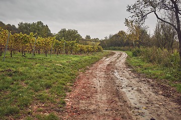 Image showing Dirtroad in the countryside