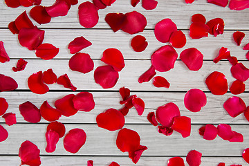 Image showing close up of red rose petals