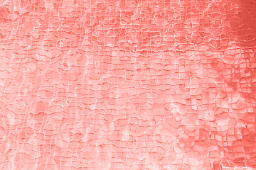 Image showing abstract living coral color background