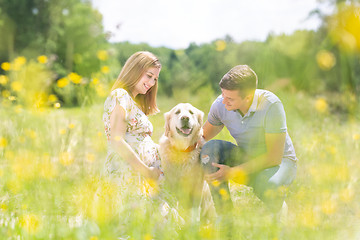 Image showing Young happy pregnant couple petting it\'s Golden retriever dog outdoors in meadow.