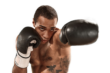 Image showing Sporty man during boxing exercise. Photo of boxer on white background