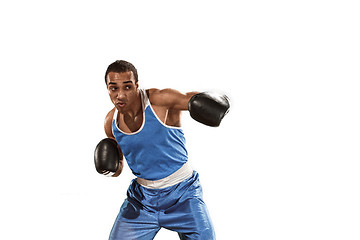 Image showing Sporty man during boxing exercise. Photo of boxer on white background