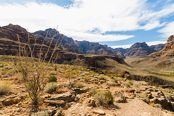 Image showing view of grand canyon cliffs and desert