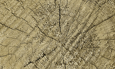 Image showing Natural wooden texture with rings and cracks pattern