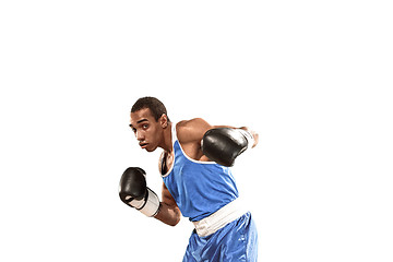 Image showing Sporty man during boxing exercise. Photo of boxer on white background