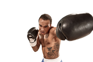 Image showing Sporty man during boxing exercise. Photo of boxer on white background