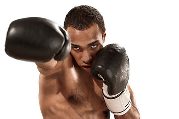 Image showing Sporty man during boxing exercise. Photo of boxer on white background