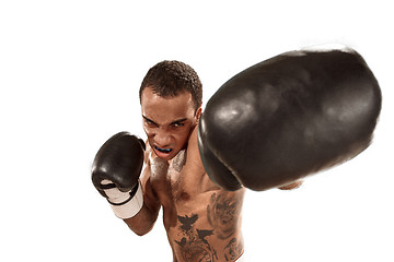 Image showing Sporty man during boxing exercise. Photo of boxer on white background