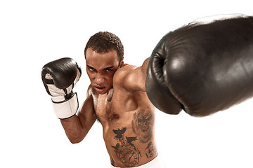 Image showing Sporty man during boxing exercise. Photo of boxer on white background