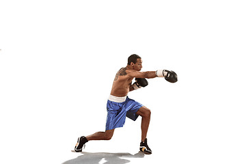 Image showing Sporty man during boxing exercise. Photo of boxer on white background