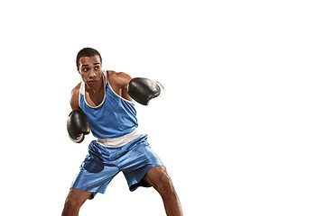 Image showing Sporty man during boxing exercise. Photo of boxer on white background