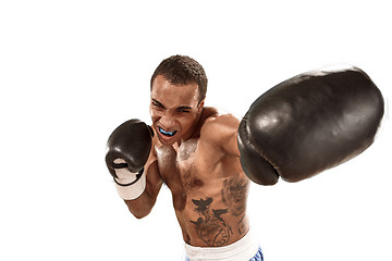 Image showing Sporty man during boxing exercise. Photo of boxer on white background