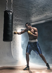 Image showing Boxing training and punching bag